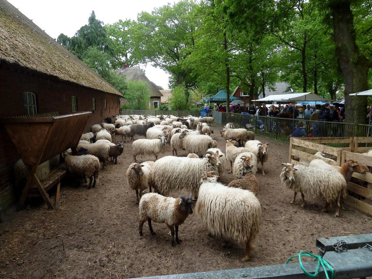 Wapen Van Exloo Extérieur photo